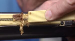 Greeneer Corp. kevlar scraper closeup